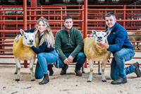 Longtown Ram Fair-38